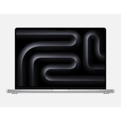 MacBook Pro 16" M4 Pro 14-CORE CPU  20-CORE GPU, 48GB GB, 512GB SSD, WYŚWIETLACZ NANOSTRUKTURALNY, SREBENY