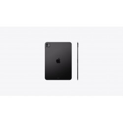 iPad Pro 11" M4