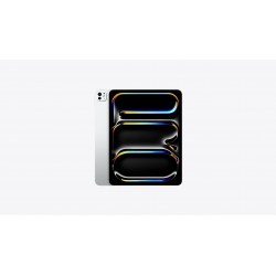 iPad Pro 13" M4