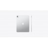 iPad Pro 13" M4